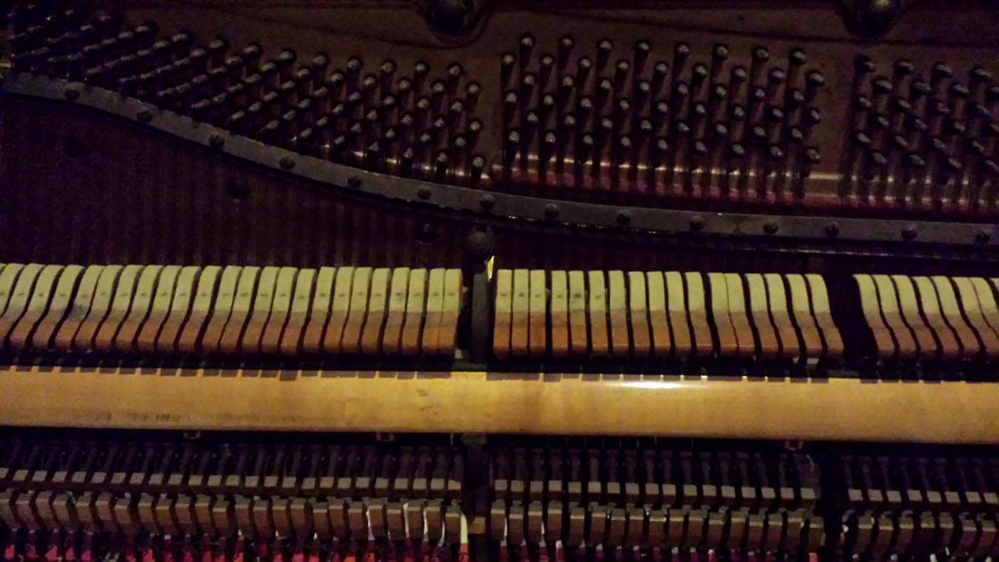 recording Hobbitozz