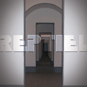 Reptiel cover