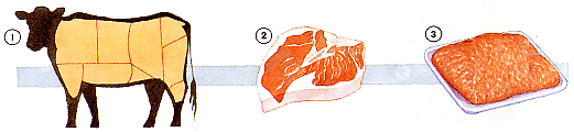 three steps of cow turning into a store-sold package of beef